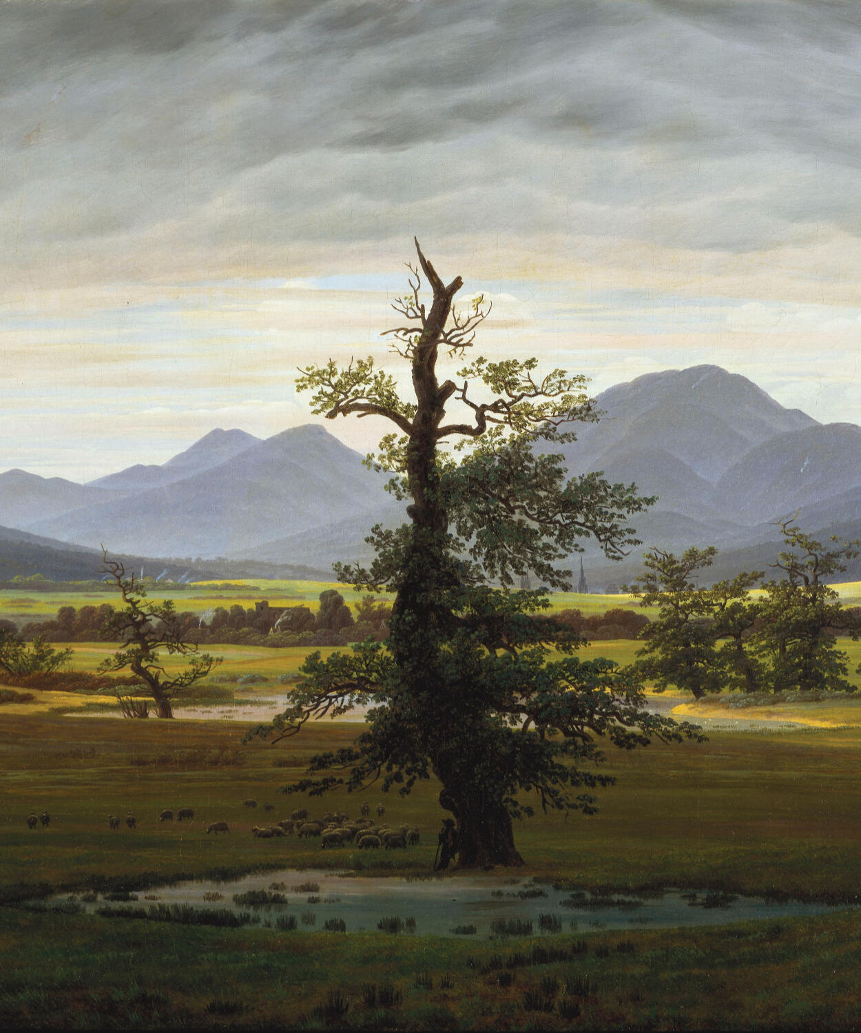 Landscapes