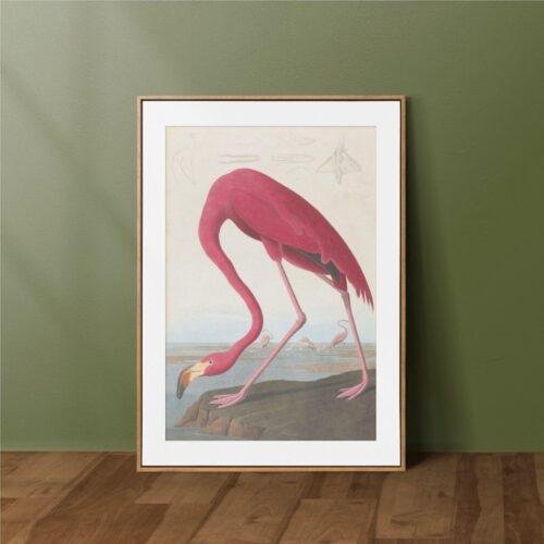 John James Audubon - Printable Wall Art, Birds Of America, Bird Lover Gift, Digital Download