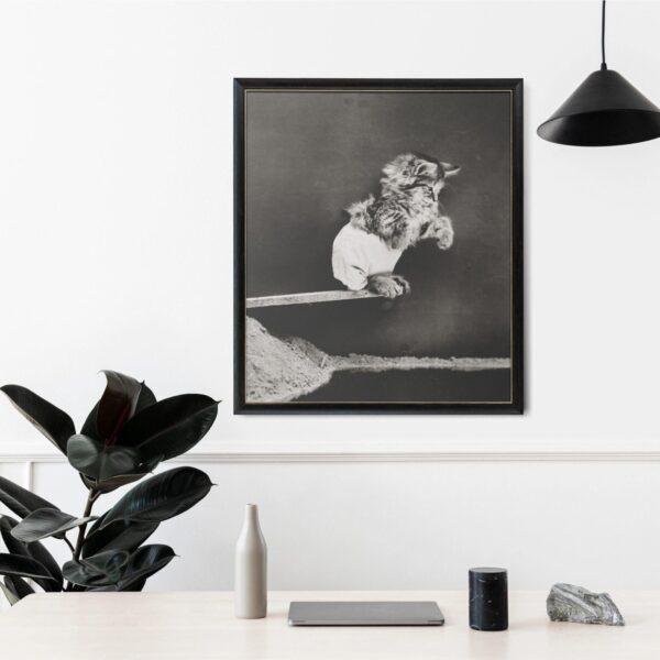 Harry Whittier Frees - Printable Wall Art, Cat Portraits, Kitten Photos, Digital Download