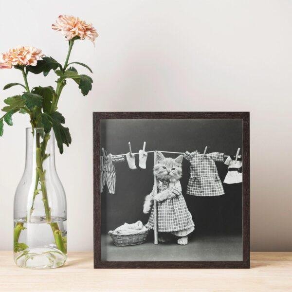 Harry Whittier Frees - Printable Wall Art, Cat Portraits, Kitten Photos, Digital Download