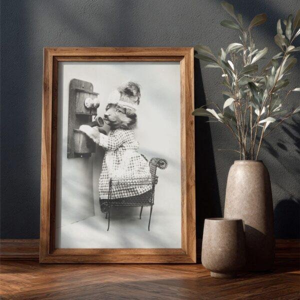 Harry Whittier Frees - Printable Wall Art, Cat Portraits, Kitten Photos, Digital Download