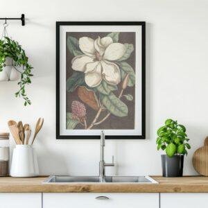 il_fullxfull.7888627251_qu68.jpg Mark Catesby - Printable Wall Art, English Artist, Natural History, Digital Download