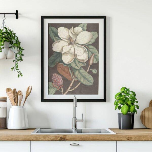 il_fullxfull.7888627251_qu68.jpg Mark Catesby - Printable Wall Art, English Artist, Natural History, Digital Download