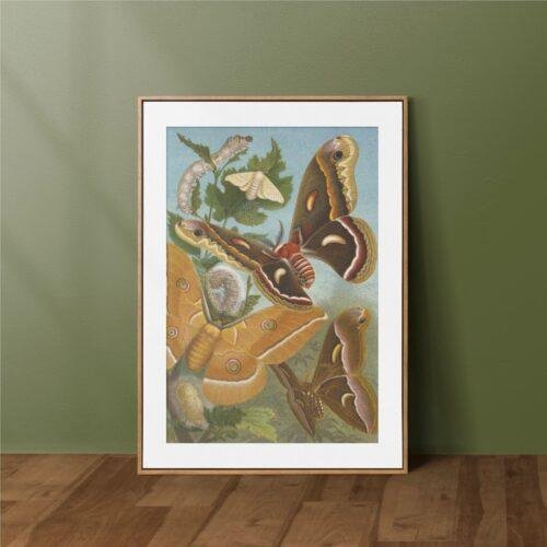 Alfred Brehm – Printable Wall Art, Natural History, Animal Sketches, Digital Download